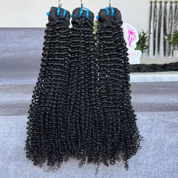 Grade 15A Raw Kinky Curly Vietnamese Hair Bundles Vendors High Quality 100% Raw Cuticle Aligned Virgin Hair Bundles
