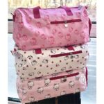 Large Capacity Commuting Cute Bag Versatile 2024 Spring and Summer New Handbag Student Niche Shoulder Tote A23