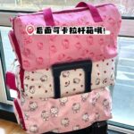 Large Capacity Commuting Cute Bag Versatile 2024 Spring and Summer New Handbag Student Niche Shoulder Tote A23