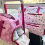 Large Capacity Commuting Cute Bag Versatile 2024 Spring and Summer New Handbag Student Niche Shoulder Tote A23
