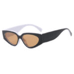 Panda Stroke Color Matching Sunglasses Simple 2025 New European and American Fashion Versatile Sunglasses Women's Sun Eyes
