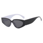 Panda Stroke Color Matching Sunglasses Simple 2025 New European and American Fashion Versatile Sunglasses Women's Sun Eyes