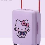 Thickened alloy wide pull rod 2025 summer new suitcase suitcase for male and female students with high appearance and printable pictures